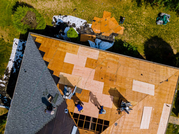 Best Roof Maintenance Services  in Collinsville, TX